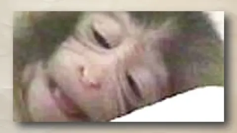 Uplifting information designed to improve your entire day