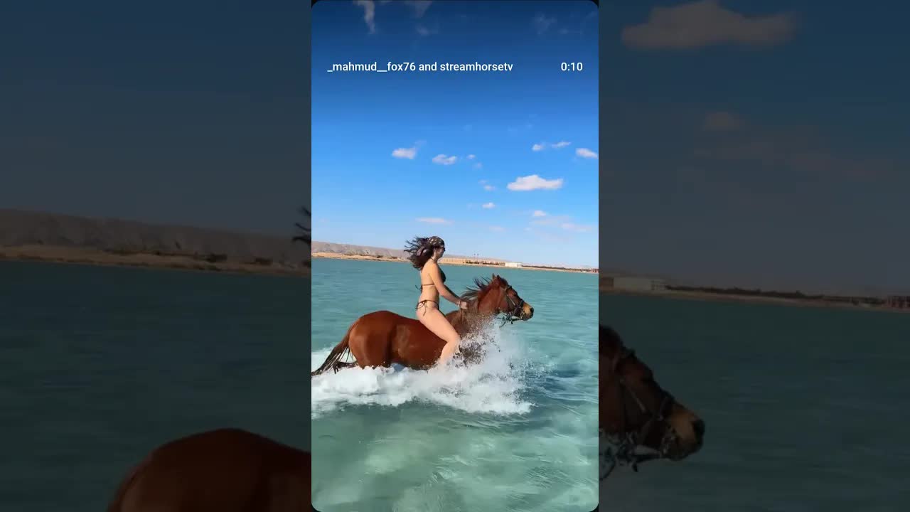 Swimming with horses in Hurghada is not just an experience… It’s freedom, beauty, and a moment lived