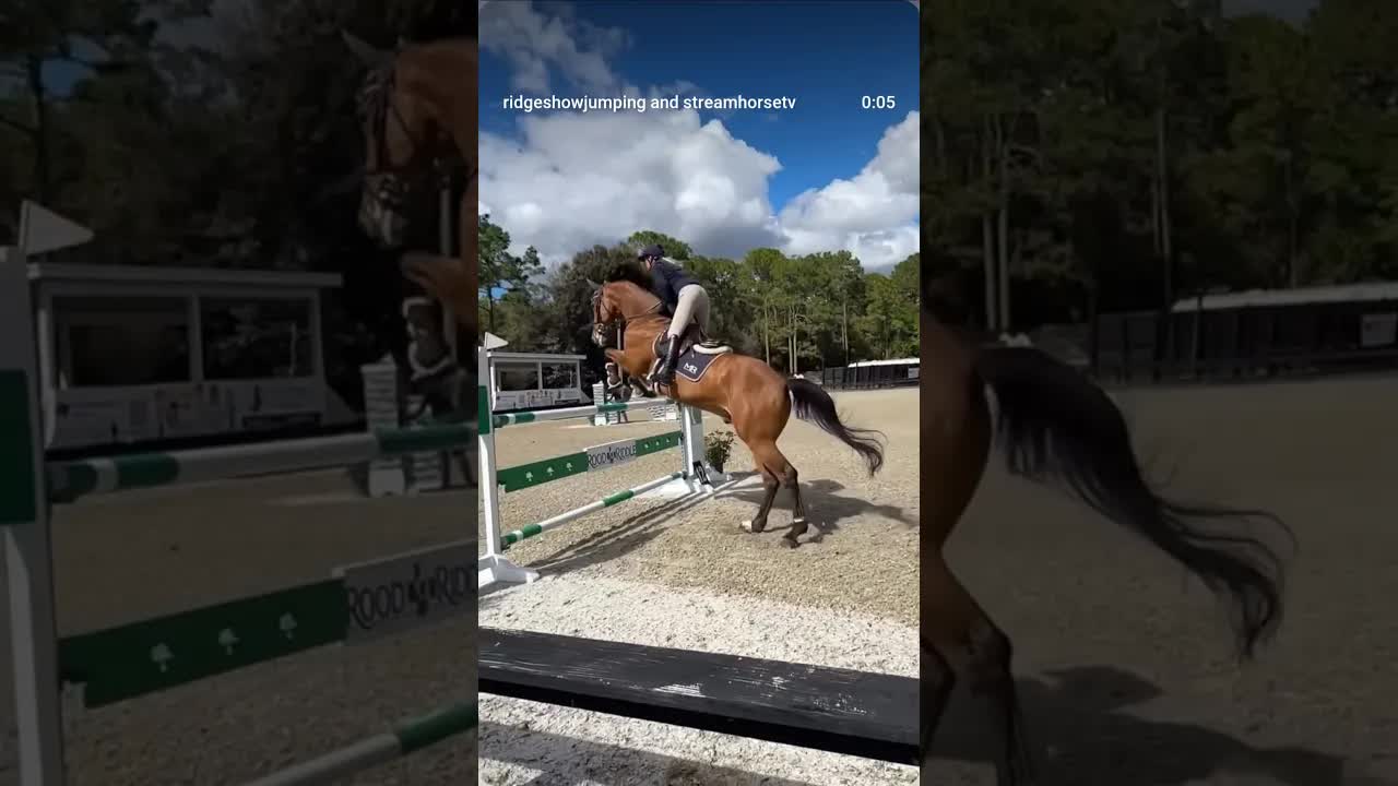 Rising Star 🌟 underway with 40 horses on a beautiful Wednesday!