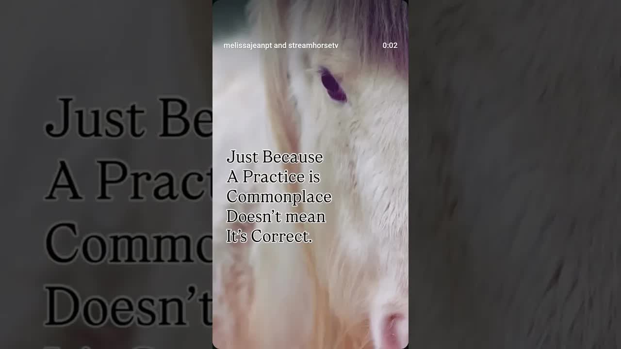 “You can lead a human to knowledge, but you can’t make it think” - unknown