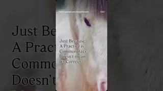 “You can lead a human to knowledge, but you can’t make it think” - unknown