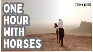 Peaceful Horses in Nature for Sleep & Focus — 1 Hour Calming Meditation Video 🐎😁