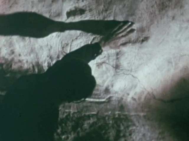Lascaux : Cradle of Man's Art (1952)