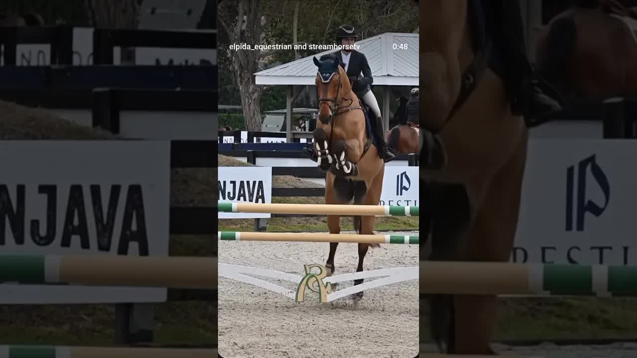 Clear in the rain 🌧️ 👊 yesterday, 1.30M Classic today 🤩