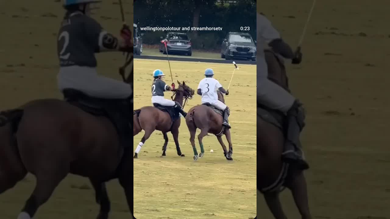 💥 @miacambiaso 👉💫🏇▪️ Catamount ▪️YLVISAKER CUP 2026