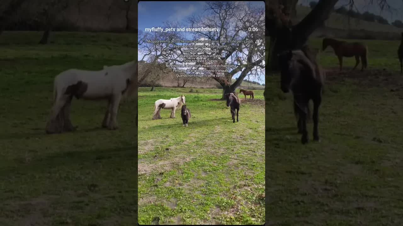 Come non amarli ❤️