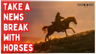 Feeling Overwhelmed by the World News? 🐎😊 Take 10 Minutes With Horses