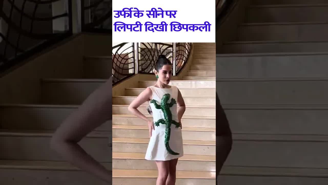 Urfi ki dress par Chipkali😱 #youtubeshorts #urfijaved #shorts