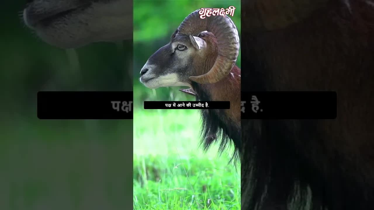 Horoscope Aries June 2023 | मेष राशिफल 2023 | 24th June to 30th June | Grehlakshmi