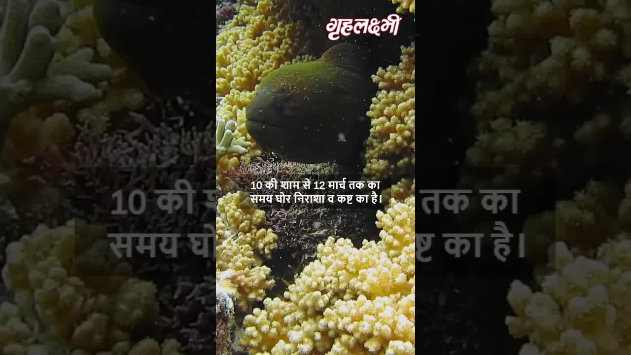 Horoscope Pisces March 2023 | मीन राशिफल 2023 | 8th March to 15th March | Grehlakshmi
