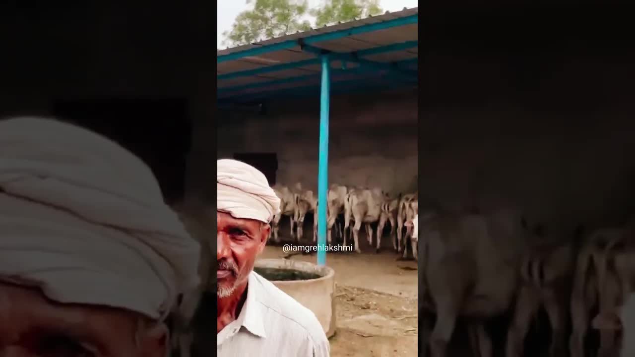 विश्वभर में फैलता भारतीय संस्कृति का आकर्षण | Foreigners accepting Indian Culture #sanatandharma 🙏🏻