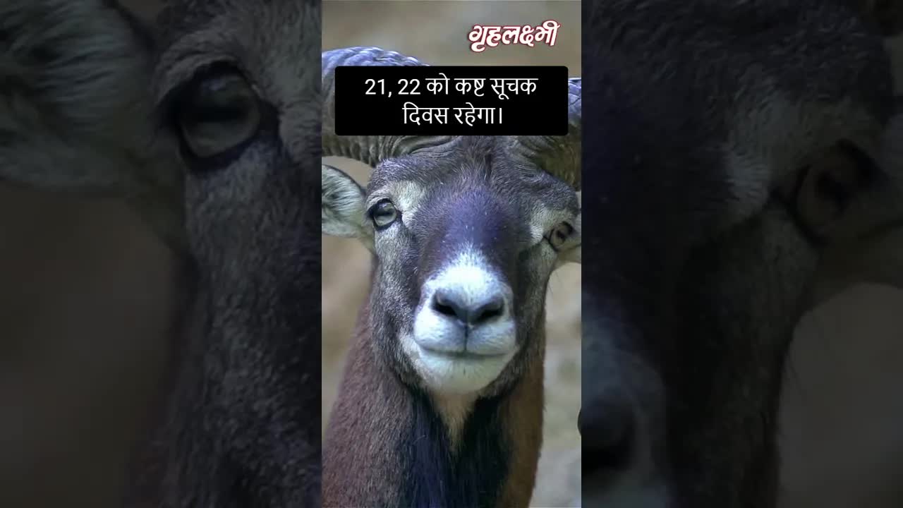 Horoscope Aries December 2022 | मेष राशिफल 2022 | 16th  December to 23rd December | Grehlakshmi