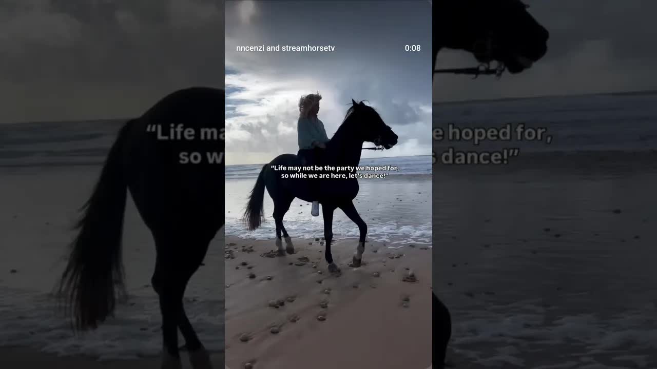 I saw this quote on a bench in NYC and I love it so much.💃❤️🐴