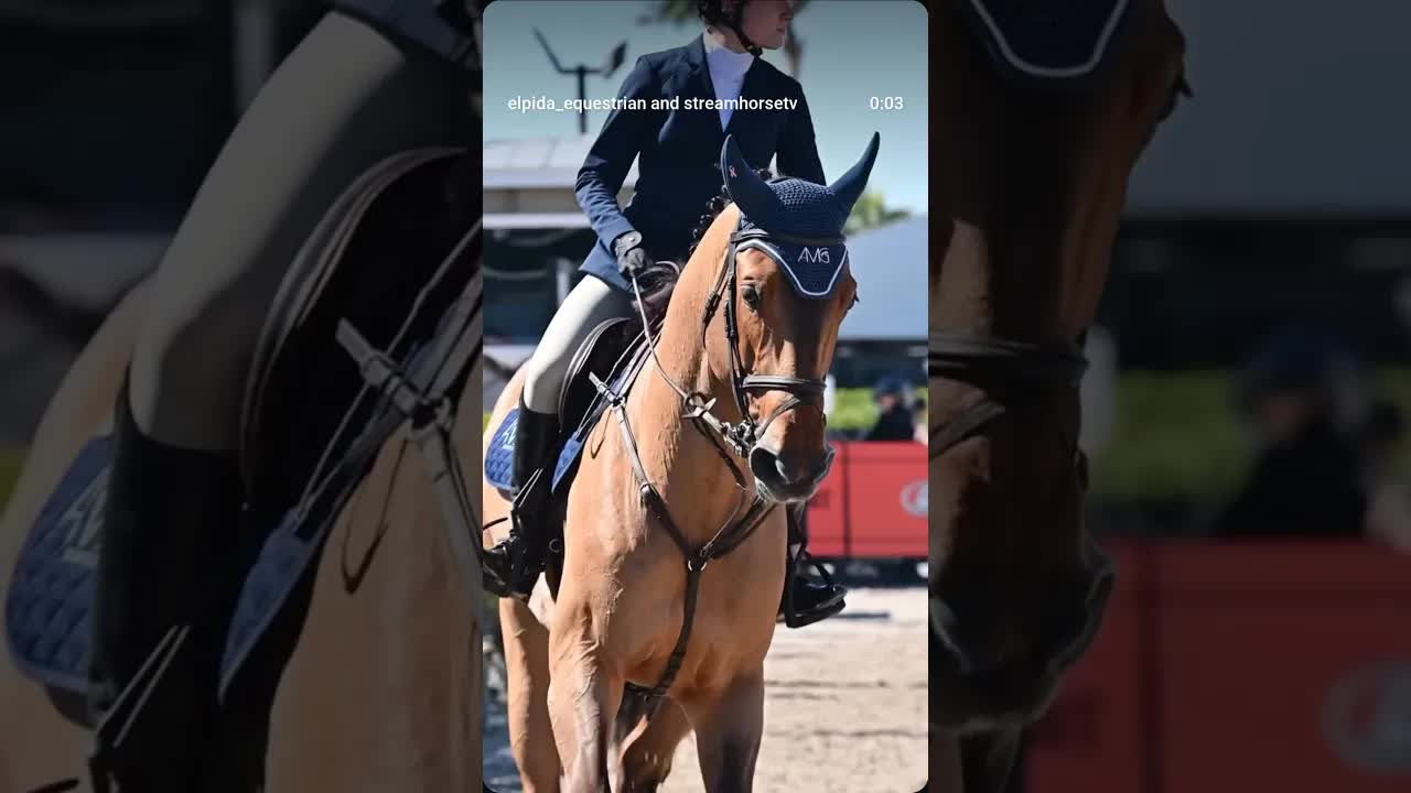 Valdes appreciation post 🤩😍🐎🔝 even just on the flat he’s so special 💕