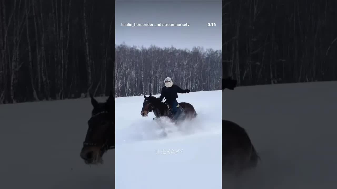 Woman's therapy ❄️🐴
