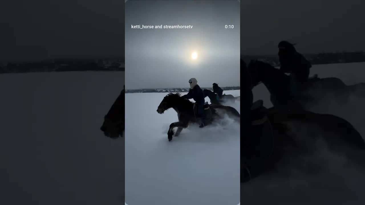 Don't relax in the fields! Keep a lookout! 🫀 We are fine no one was hurt!