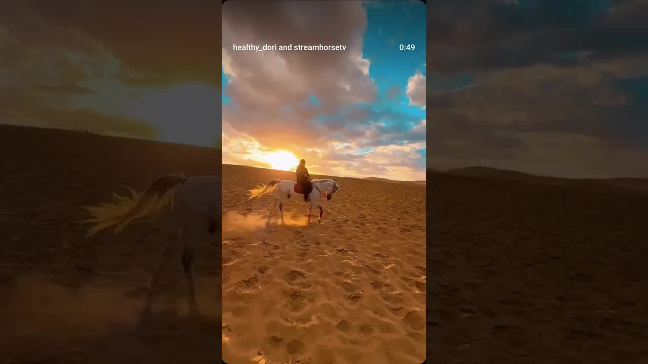 Sometimes all you need is the desert, a sunset, and a horse to find your way back to yourself.