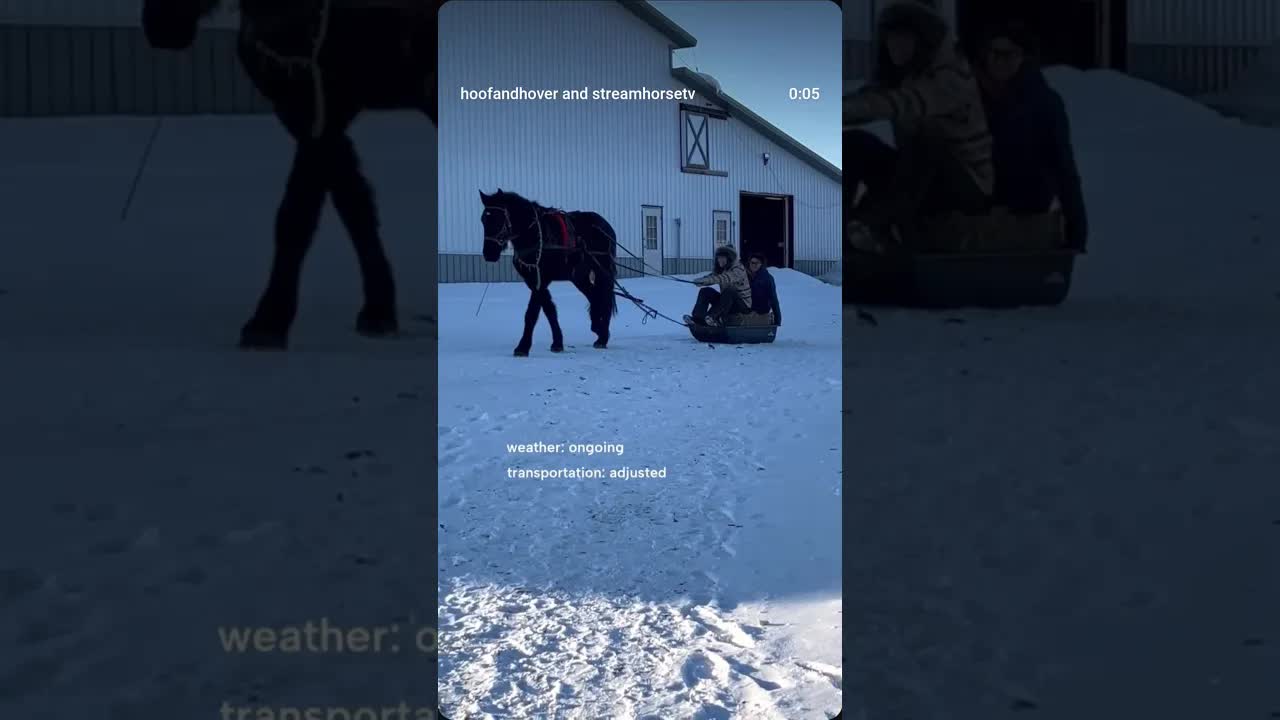 Anyone else tired of this winter yet? 😅