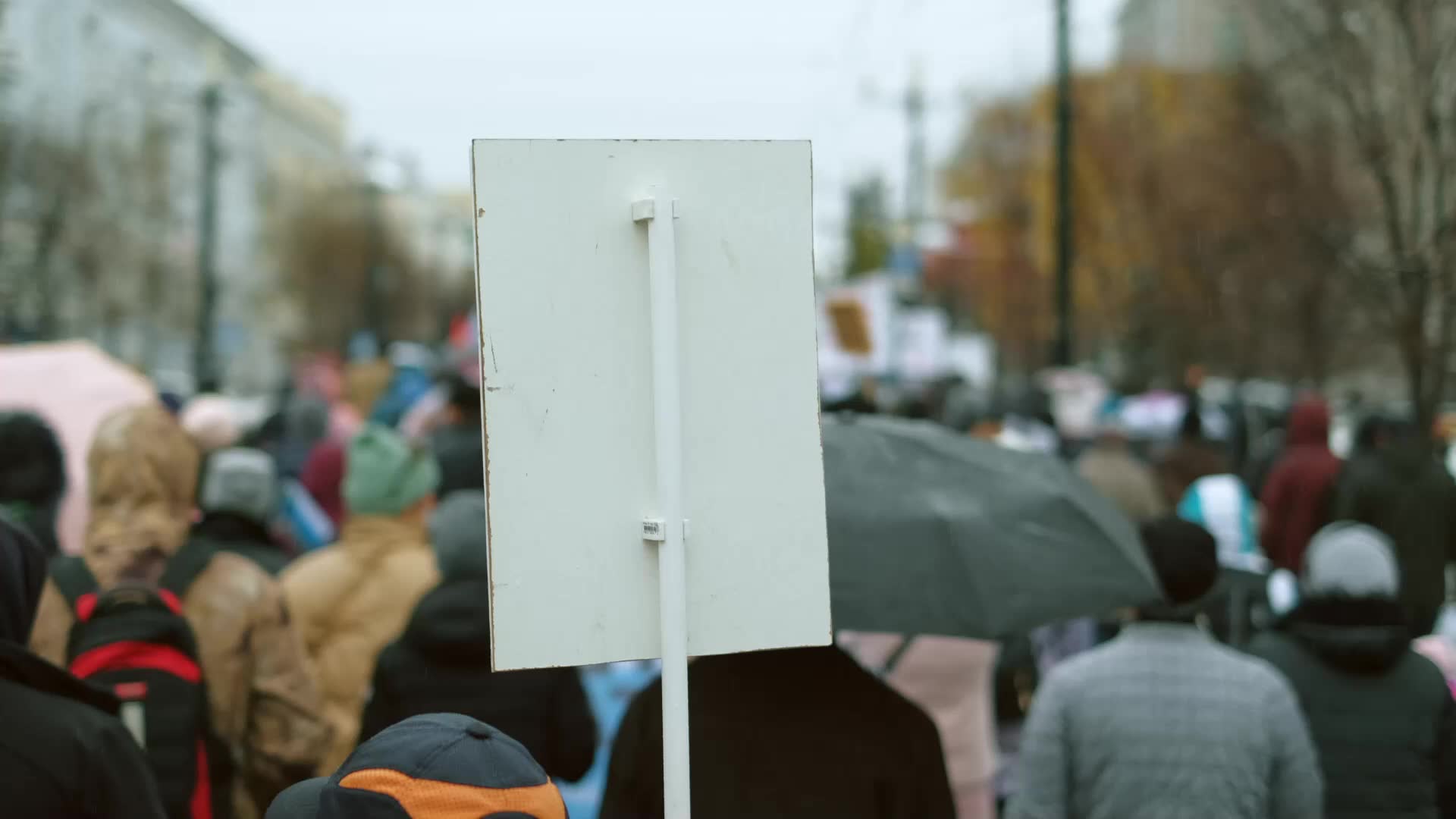 Whether america has bridged its political divide