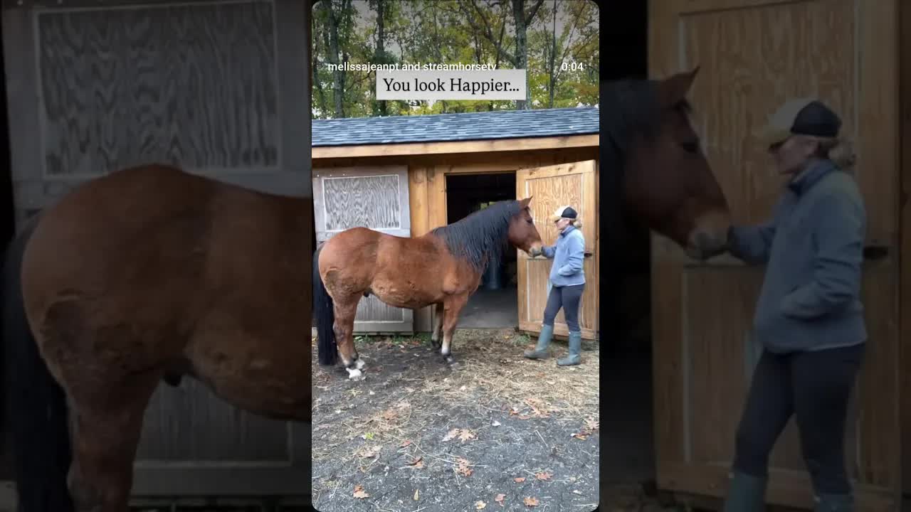 For a long time, survival was enough. It had to be. But survival isn’t the same as living...