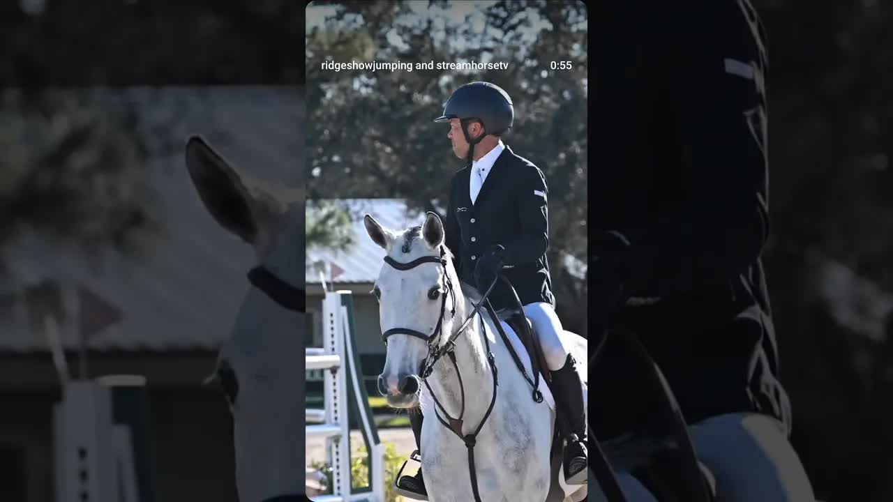 Our favorite show 🤩🤩🤩🐎🐎🐎👀👀👀 IYKYK The Ridge is where horses matter!