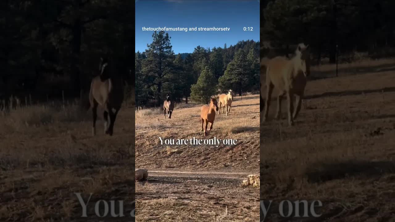 It's becoming more and more popular to give our power away...