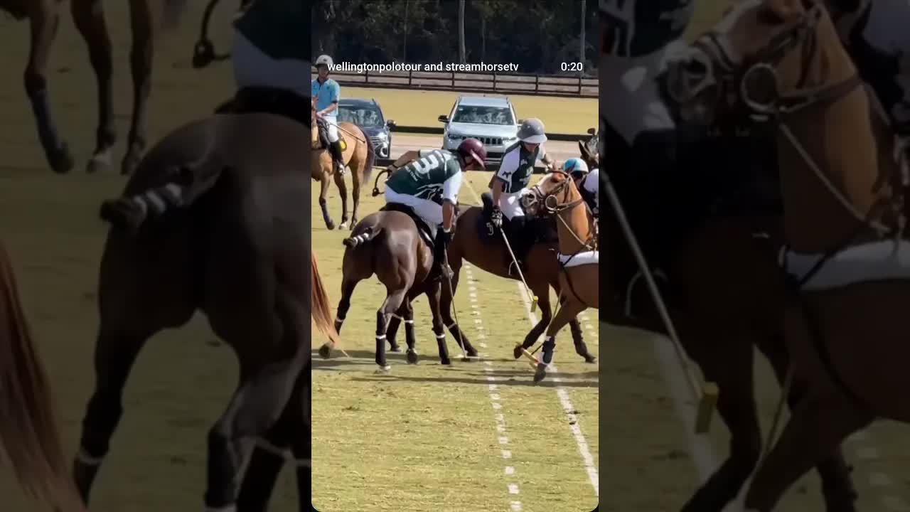 @joaquinpanelo 👉 @geroobre 💥 90210 Polo Team YLVISAKER CUP 2026