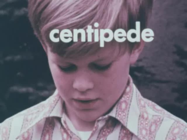 Putting the Rules Together (1972)