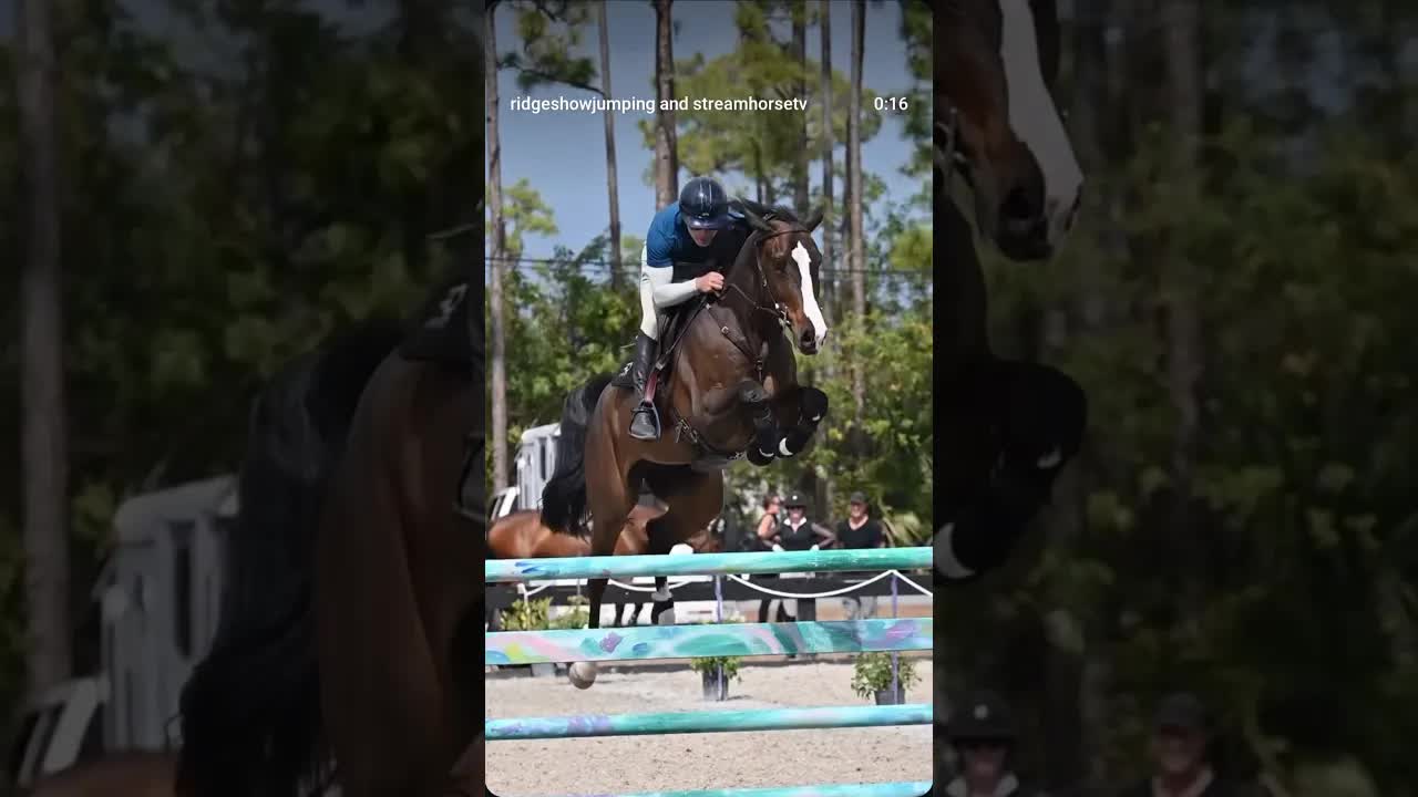 Echo you legend 🤩 Jumping an amazing round with Ilan Bluman in the irons to take the win