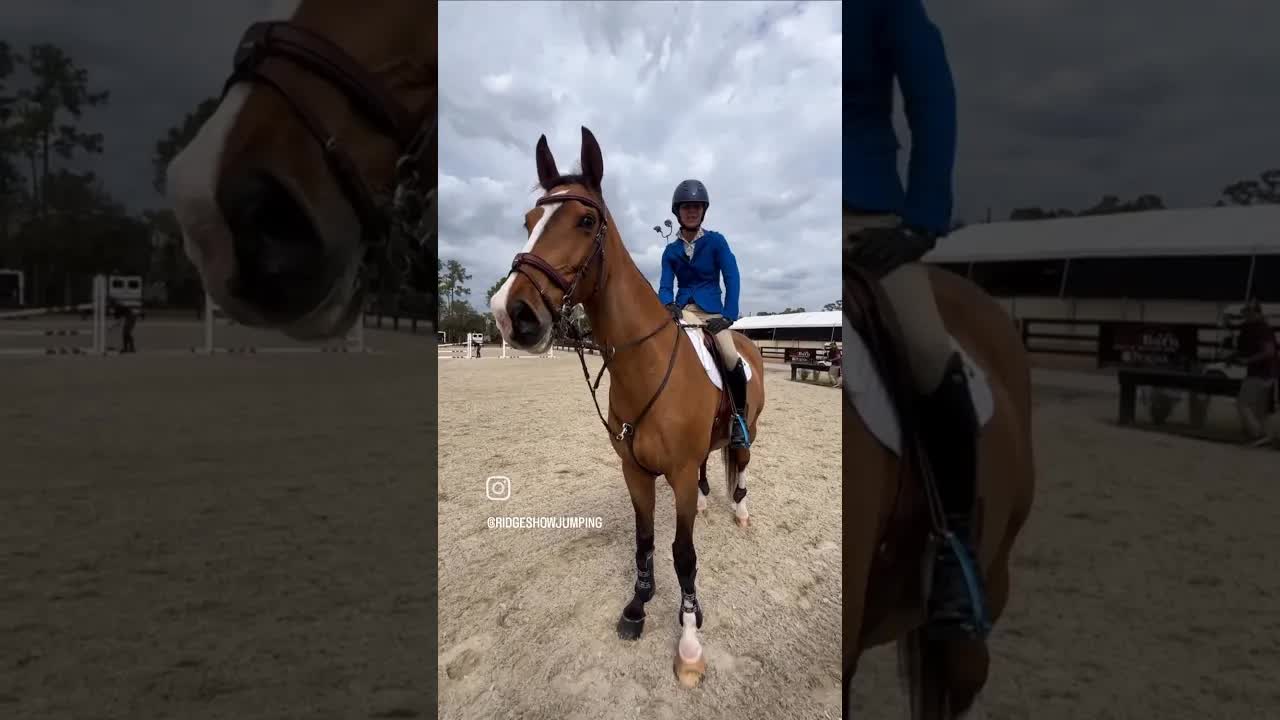Catie Staszak & Bear 🐻 talk about the importance of flexibility for working equestrians 🐎