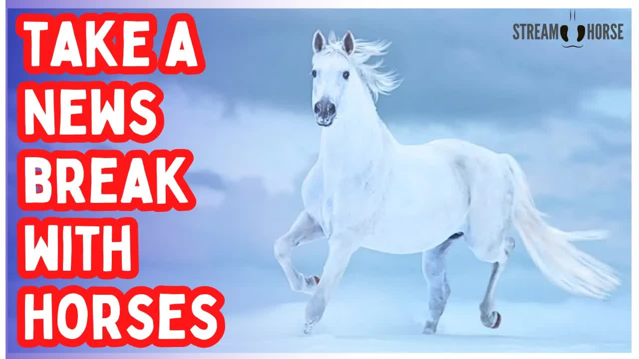 Step Away from the News Headlines 🔥🐎 10 Minutes of Fire Horse Courage & Calm