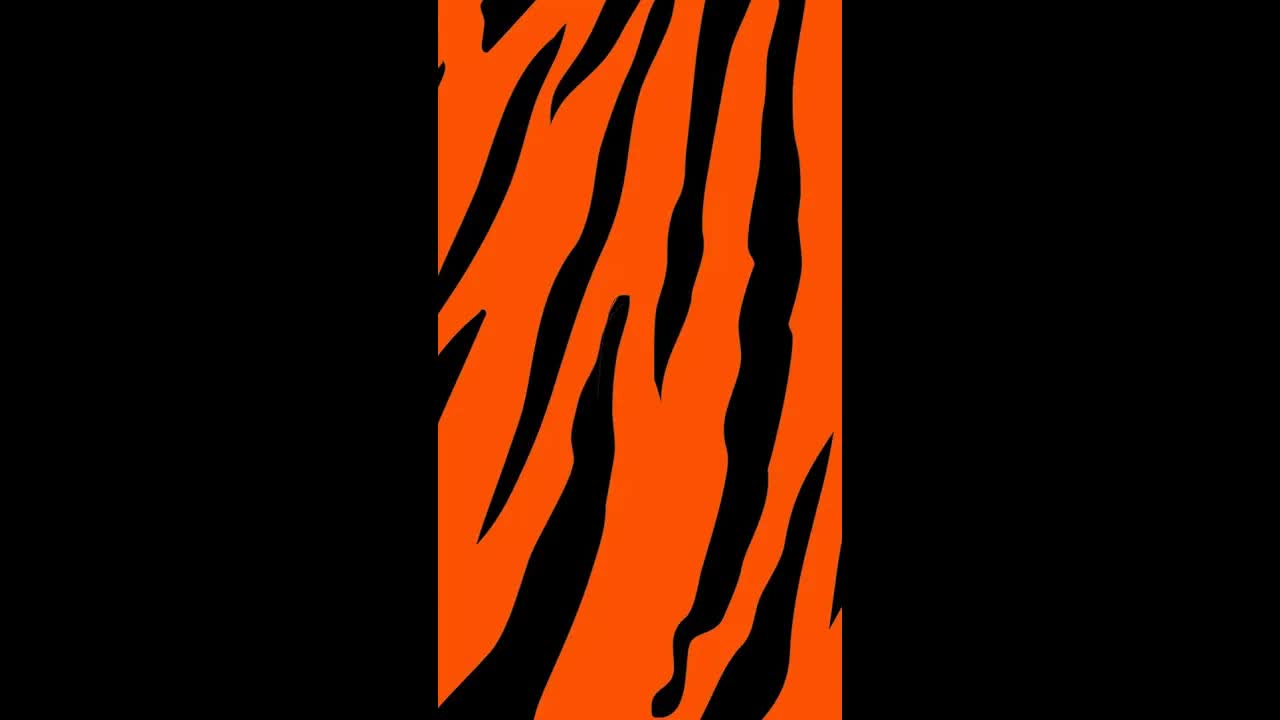 2.12 Bengals - Downs Social