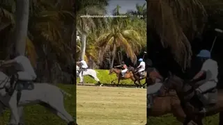 @elbiceps 💥 @chetan.krishna.1@dracaryspoloteam 👉 #goal 🔥 YLVISAKER CUP 2026