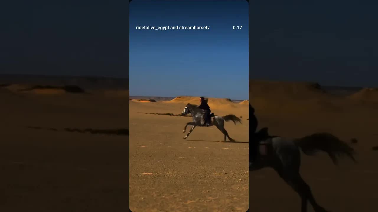 Every trip in Fayoum is differentand every ride feels like a breath of fresh air.📍Fayoum, Egypt  🇪🇬