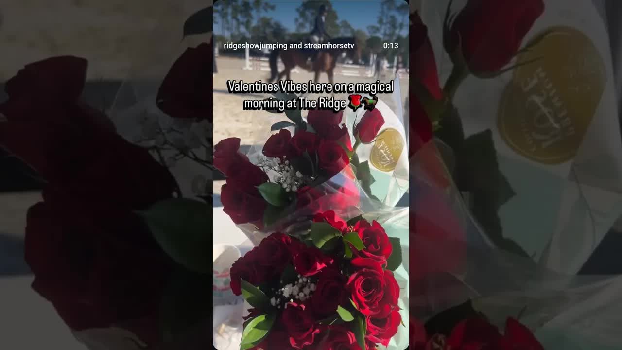 A Ridge tradition, we are looking forward to passing our roses in honor of Valentines’s Day 🌹🌹🌹🐎🐎🐎