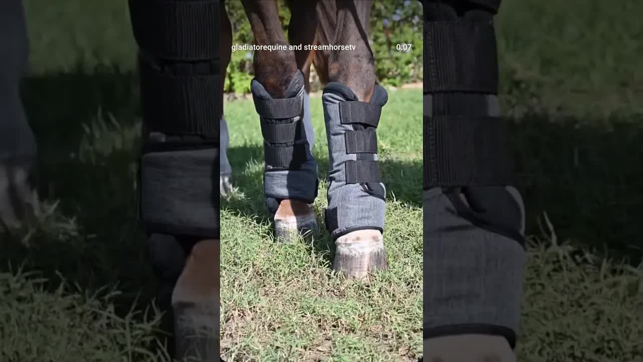 Every ride starts from the ground 🆙! Healthy hooves, flexible joints, tendons, and soft tissue