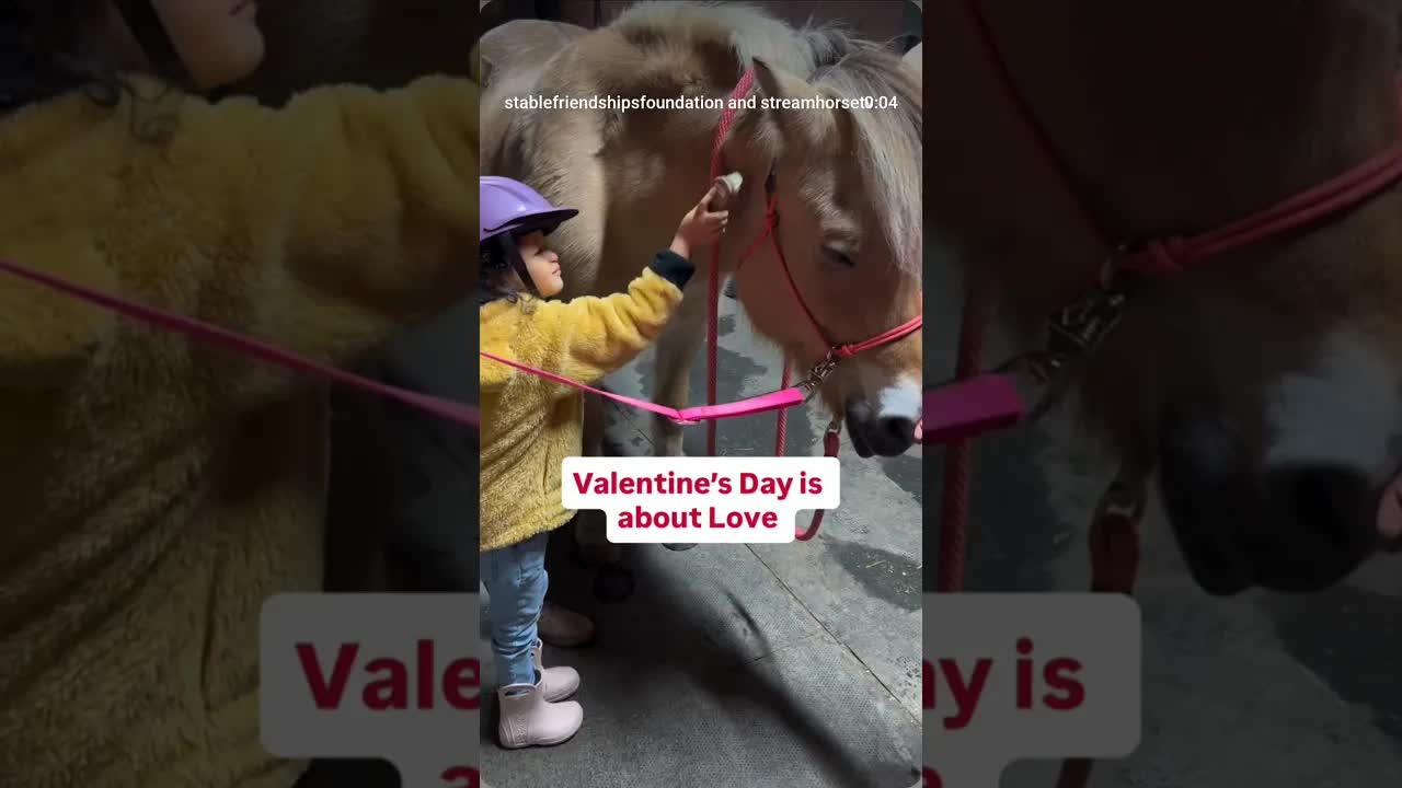 At Stable Friendships Foundation, love shows up in quiet moments between a child and a horse. ❤️