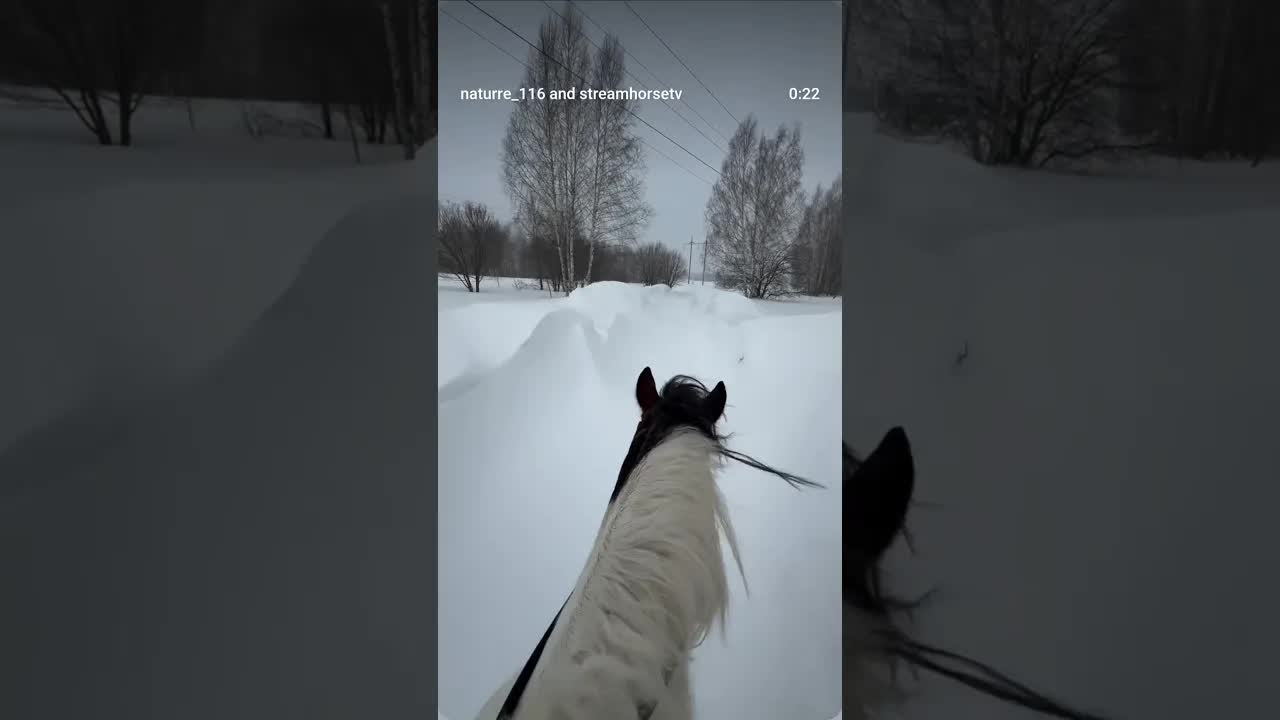 How wonderful it was 🤍 We made the path ourselves, and in some places the horses had to jump ❄️