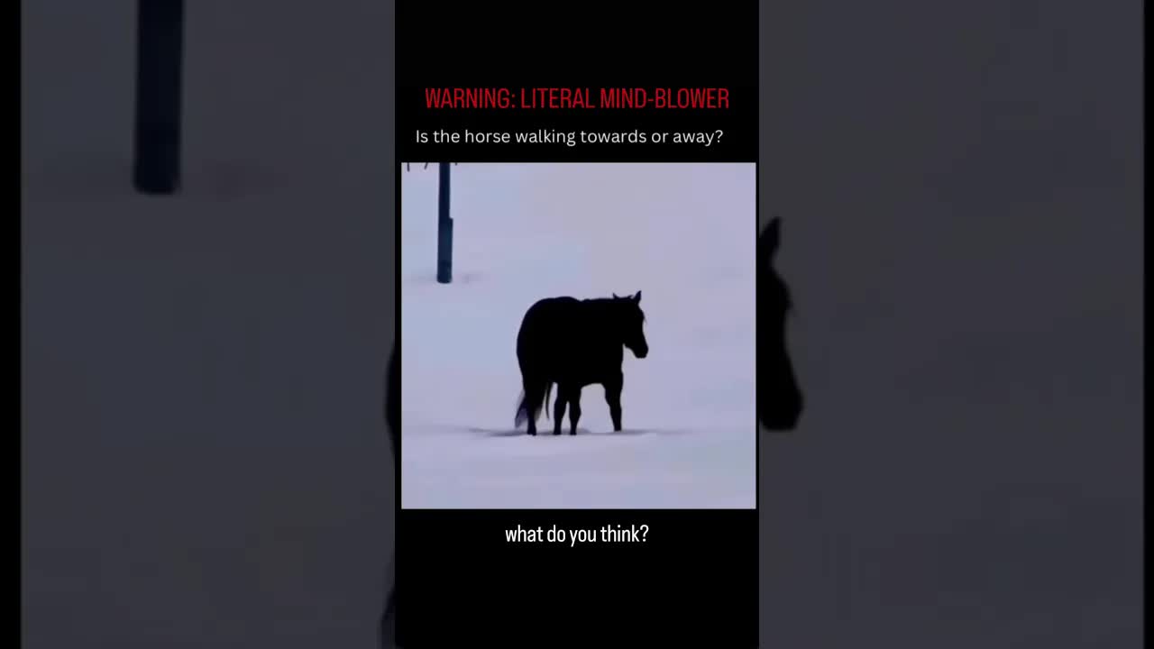 WARNING: This video will gaslight your visual cortex. 🌀​