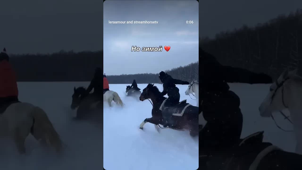 Any season, any weather 🦇