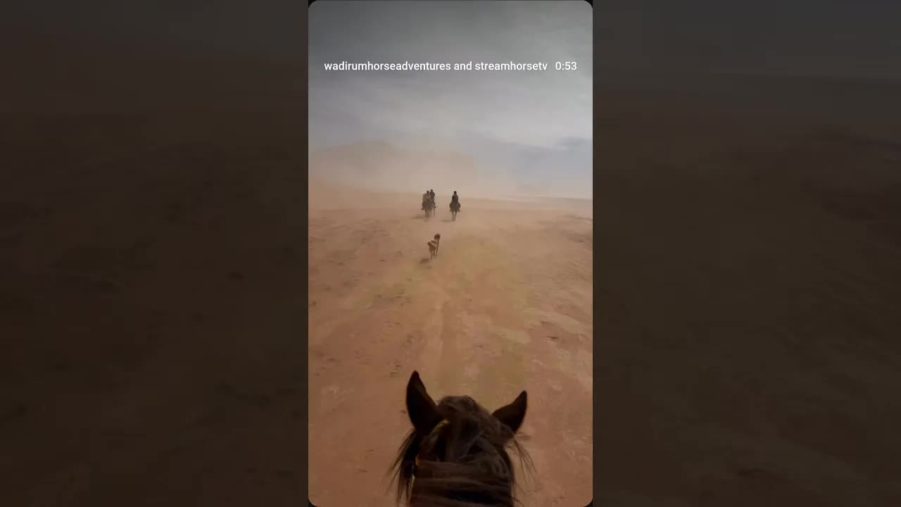 3 hours in a windy Wadi Rum yesterday. At times we could barely see ahead!