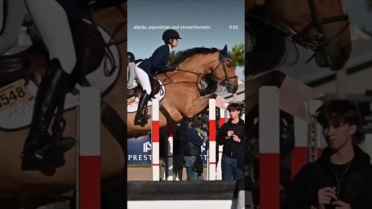 Jumping into a new week 😎 🐎