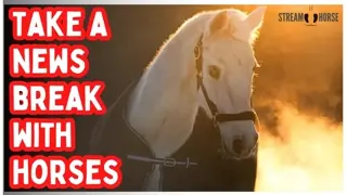 STOP! Recharge From the News Like the Fire Horse 🔥 10 Minutes to Reset Your Horsepower