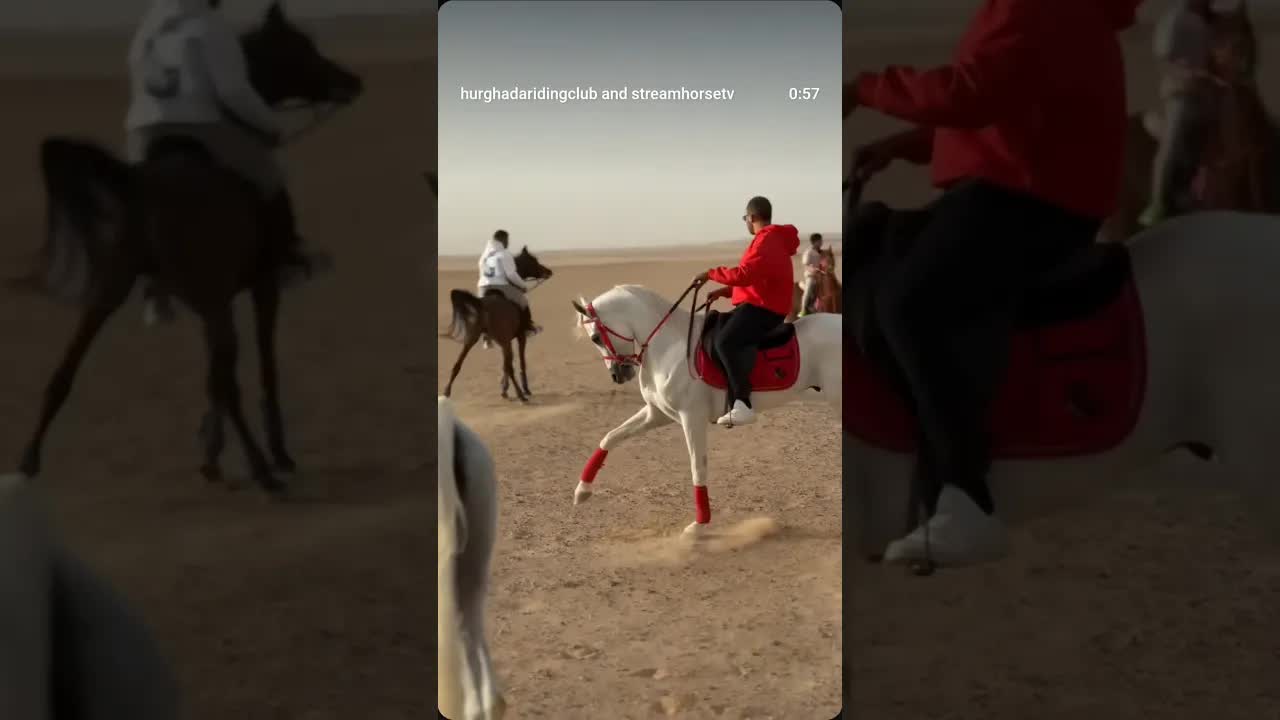 Big thanks to everyone who took part in today’s race. Great day with friends & beautiful horses. 🐎🤍