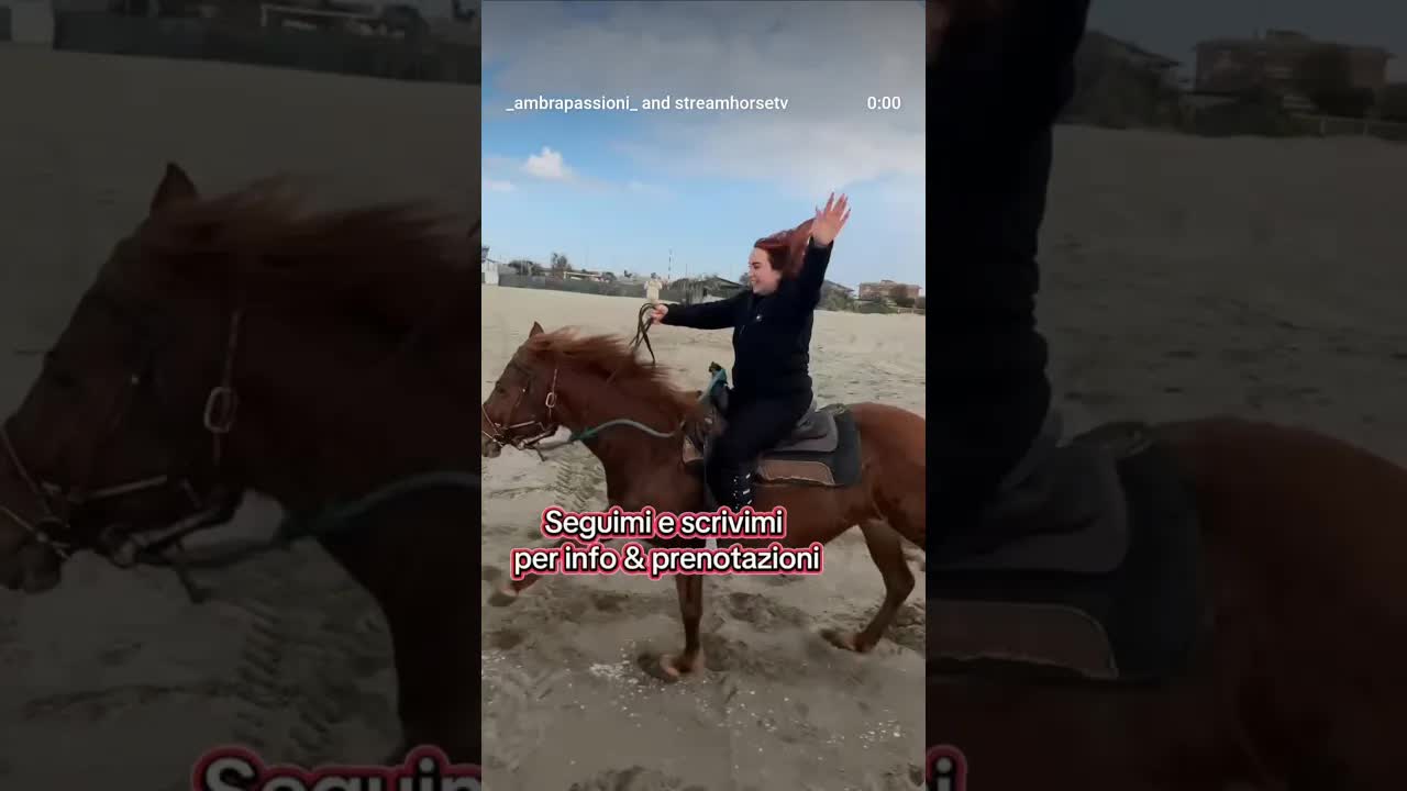 With my groups, we really gallop 🔥 The feeling of galloping on the beach... it can't be explained 🐎🌊