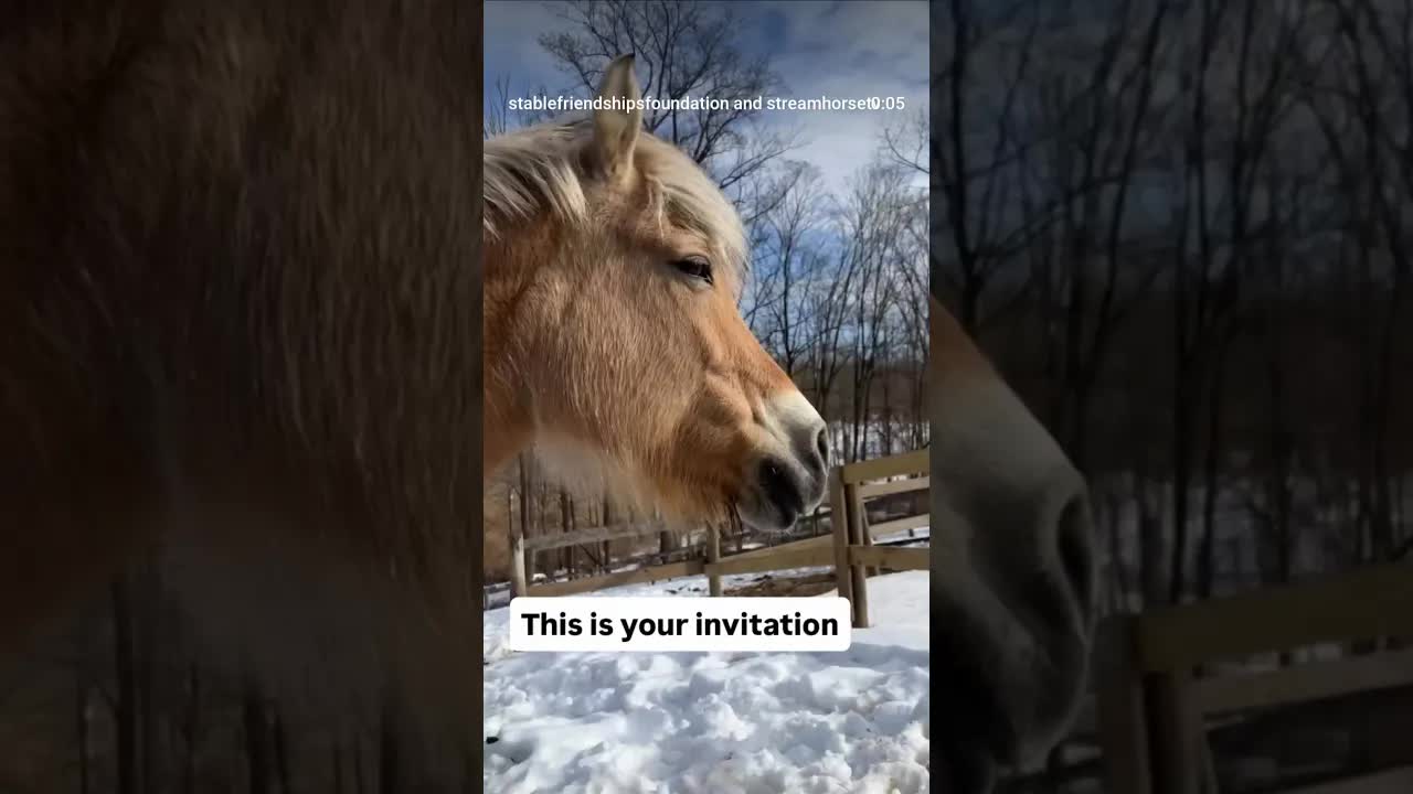 Our equine partners pause. They don’t wait until they collapse.You are allowed to do the same ❤️