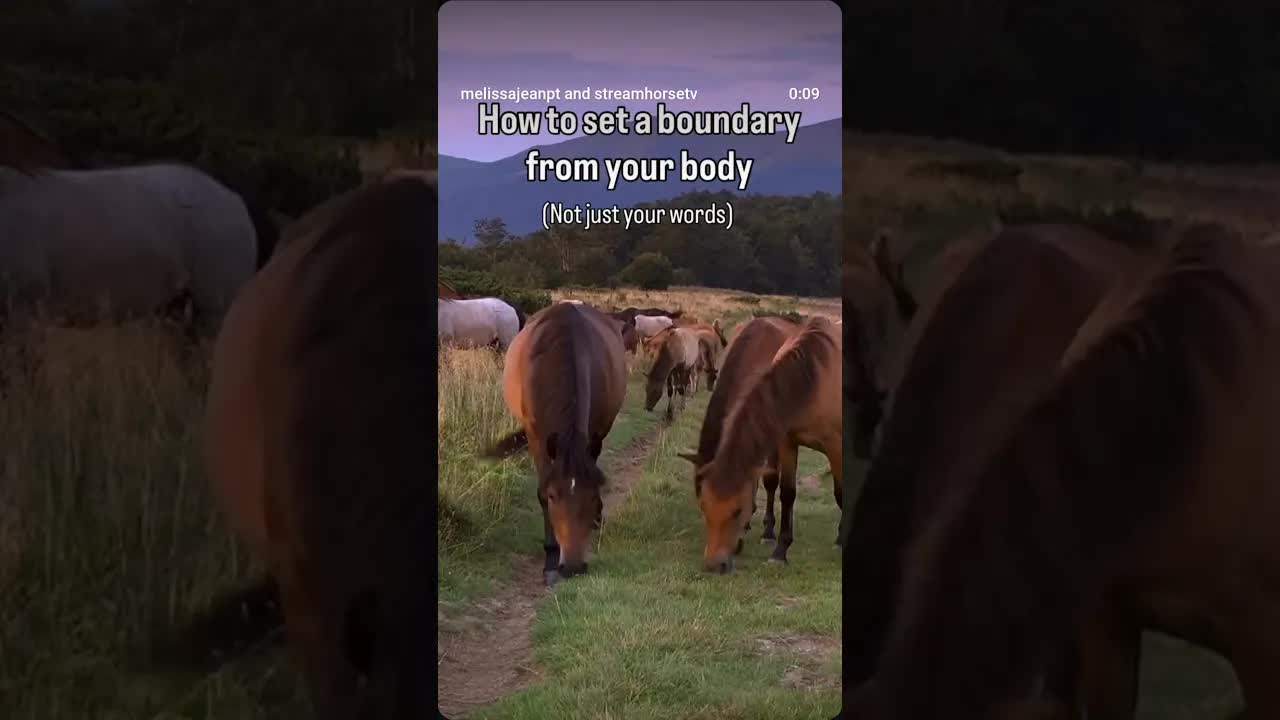 🙋🏼‍♀️  Notice something? A horse doesn’t: Justify– Defend– Over-explain– Apologize for existing...