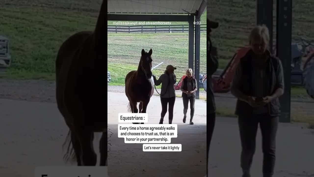 Trust isn’t trained into a horse. It’s invited.