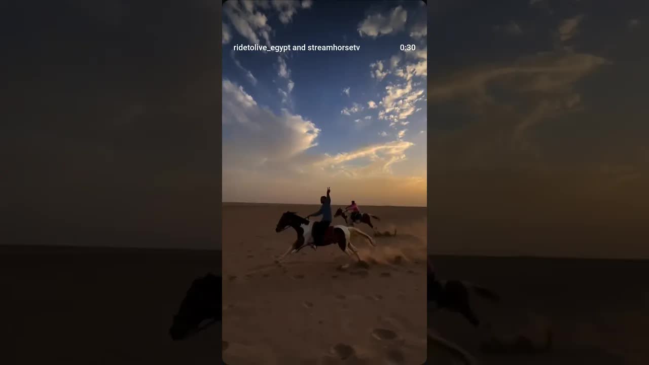 Ride to live ⚡️📍 This is our desert trip in Hurghada with Ride to Live Stables 🇪🇬