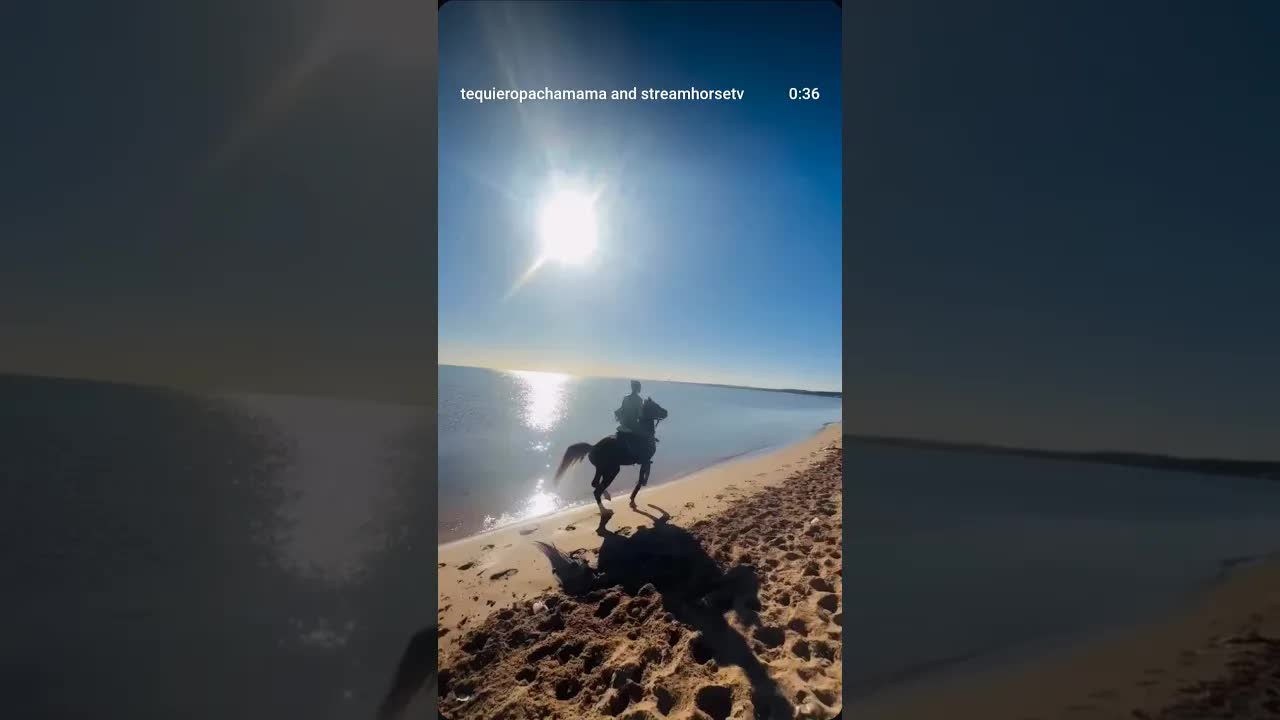 Who said the canter isn’t fun? 🤩After a 4 a.m. wake-up 🥴 and a fabulous sunrise on horseback